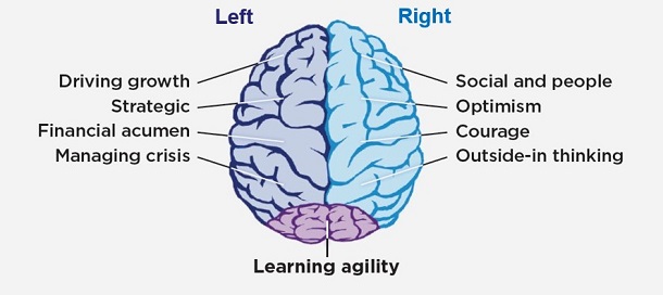 Show the function of the left and right brain